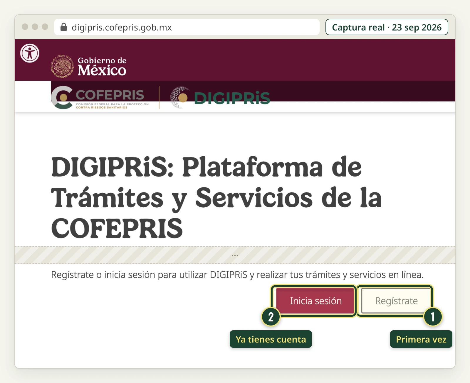 Página de inicio de DIGIPRiS con los botones Regístrate e Inicia sesión.