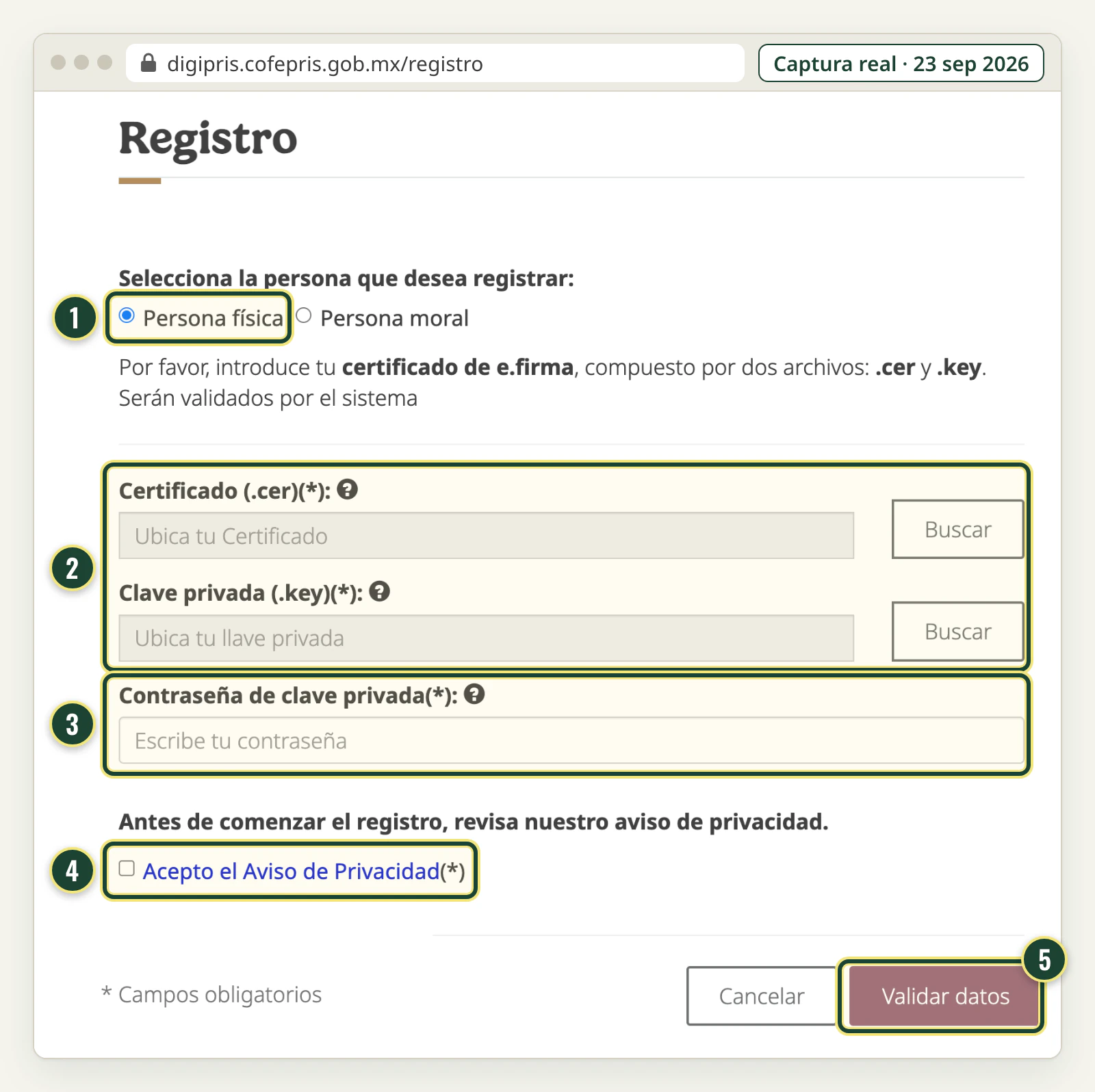 Pantalla Registro de DIGIPRiS: opción Persona física, campos para el certificado .cer, la clave privada .key y su contraseña, casilla del aviso de privacidad y botón Validar datos.