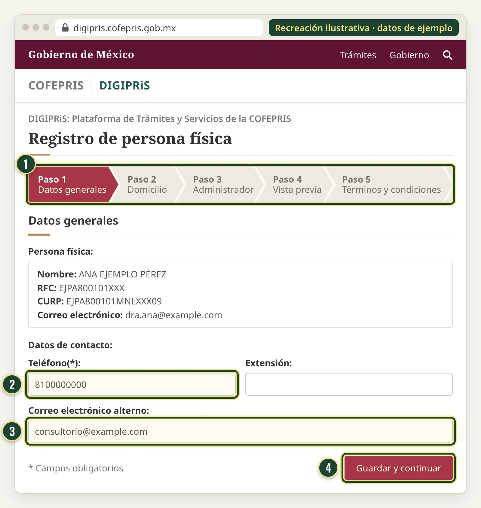 Recreación de la pantalla Registro de persona física en DIGIPRiS: cinco pasos (Datos generales, Domicilio, Administrador, Vista previa y Términos y condiciones) y los campos Teléfono y Correo electrónico alterno.