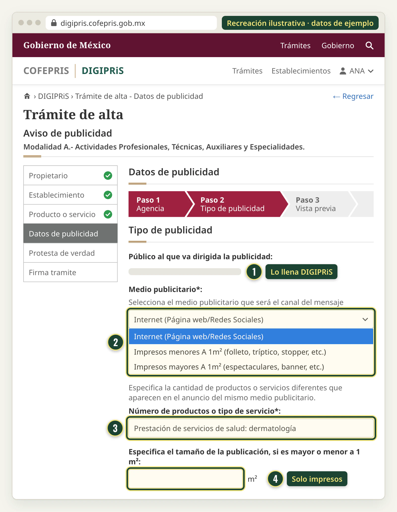 Recreación del paso Tipo de publicidad: medio publicitario Internet (Página web/Redes Sociales), tipo de servicio y tamaño de la publicación.