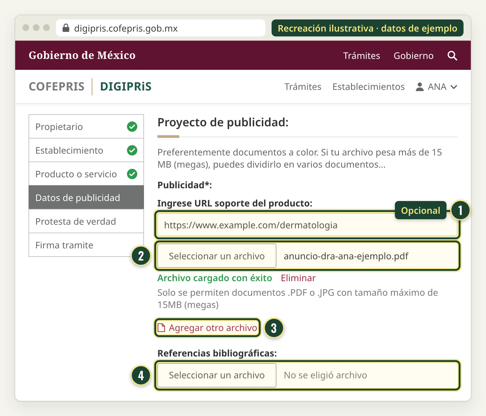 Recreación de la sección Proyecto de publicidad: URL soporte, archivo del anuncio en PDF cargado con éxito, enlace Agregar otro archivo y campo de referencias bibliográficas.