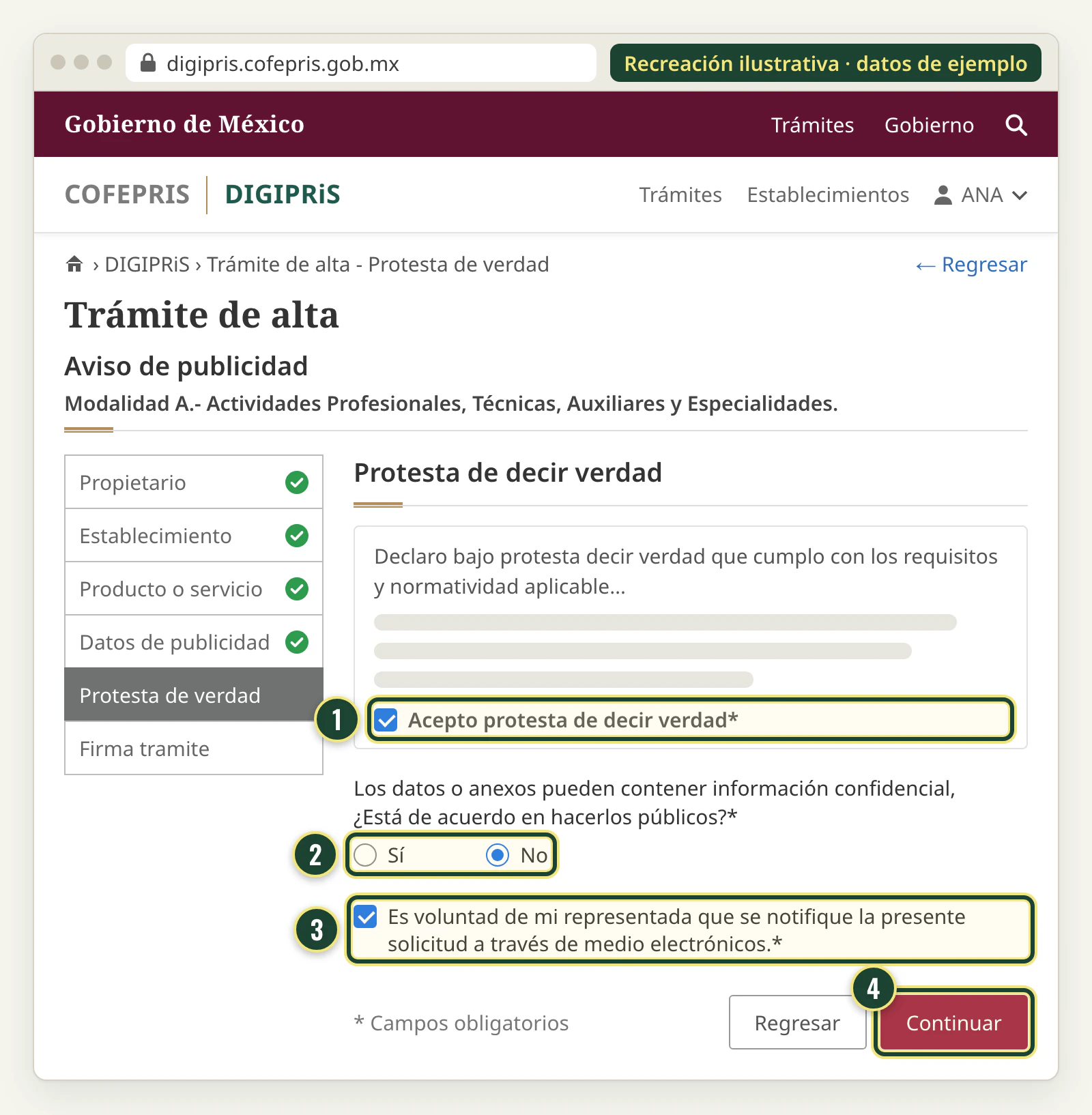 Recreación de la sección Protesta de decir verdad: casilla Acepto protesta de decir verdad, pregunta sobre hacer públicos los datos y casilla de notificación por medios electrónicos.